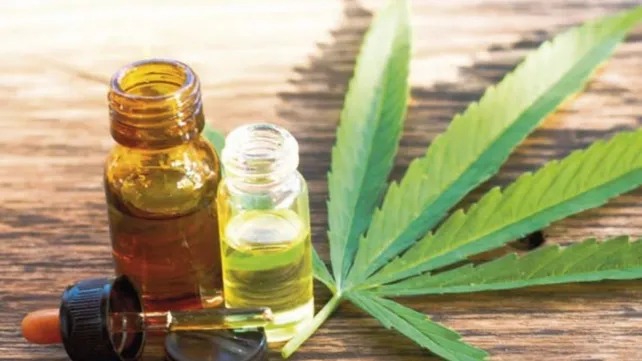 Anmat prohibió dos marcas de aceite de cannabis 