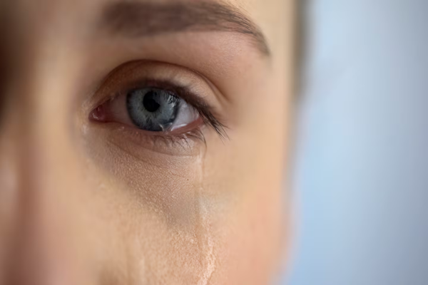 Crecen las denuncias por violencia doméstica