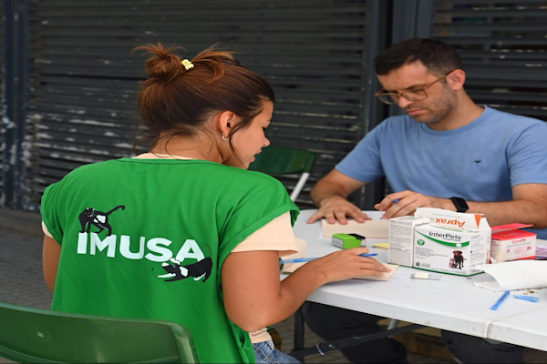 El IMUSA realizará castraciones masivas 