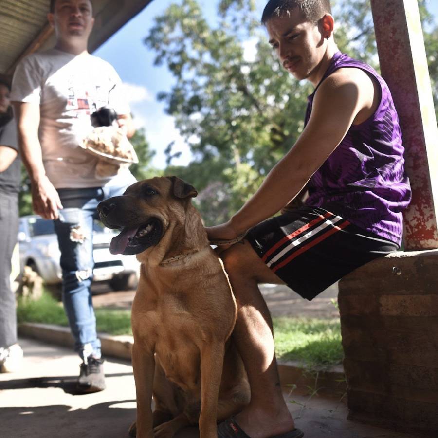 IMUSA superó las 10.000 atenciones veterinarias en el mes de julio