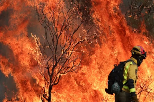 Incendios forestales: aumenta el número de muertos en el sur de Europa