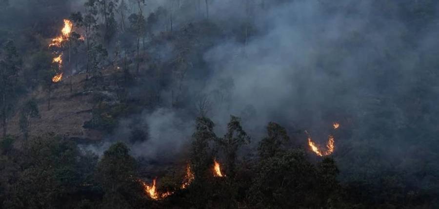 España: el gobierno dará ayuda a las zonas afectadas por incendios forestales