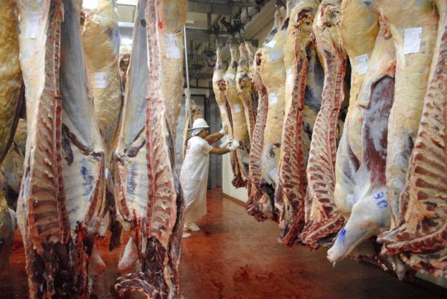 Vuelve la barrera sanitaria: una cautelar suspende por un mes el ingreso de carne con hueso a la Patagonia