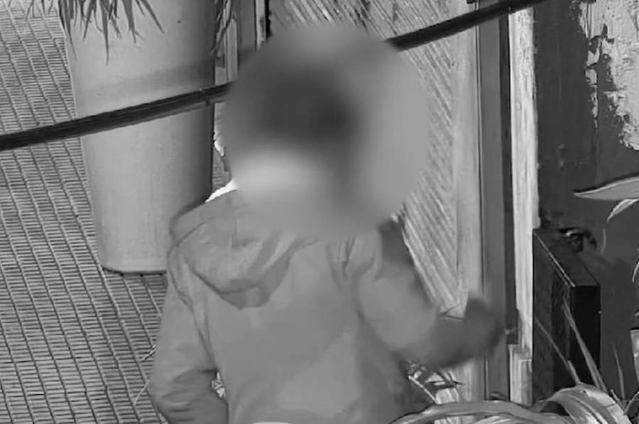 Intentaba robar en un restaurante de la peatonal y lo agarraron