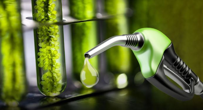 Fijan nuevos precios para los biocombustibles