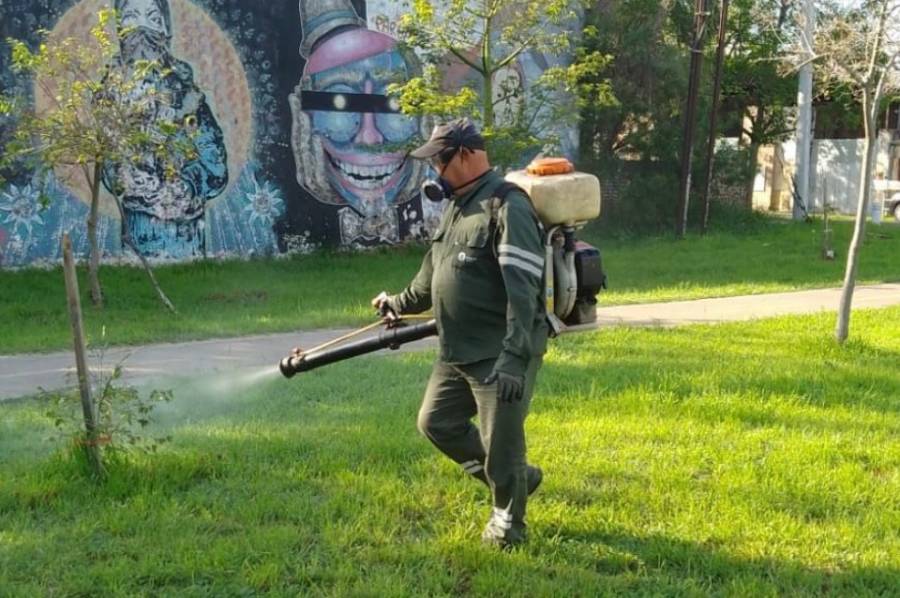 Fumigan parques y plazas de cara a la temporada de verano