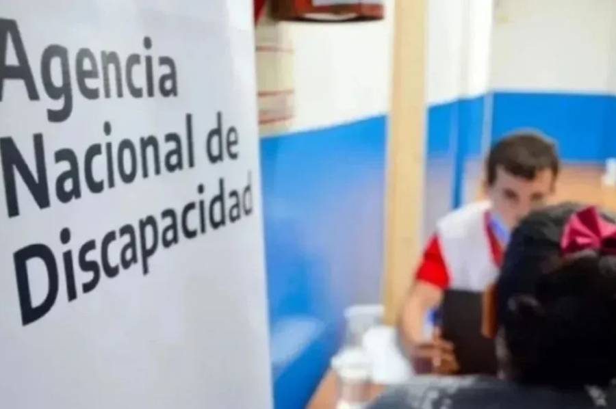 El Gobierno refuerza ANDIS desde octubre