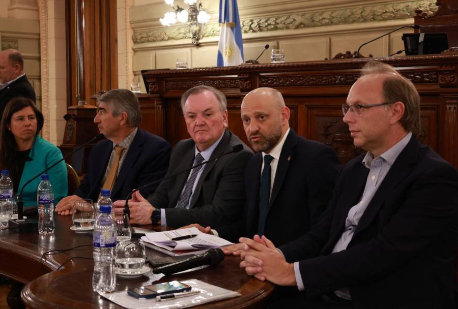 Eficiencia energética: cómo es el plan de inversión para ahorrar hasta un 40 % de consumo que el Gobierno explicó en el Senado