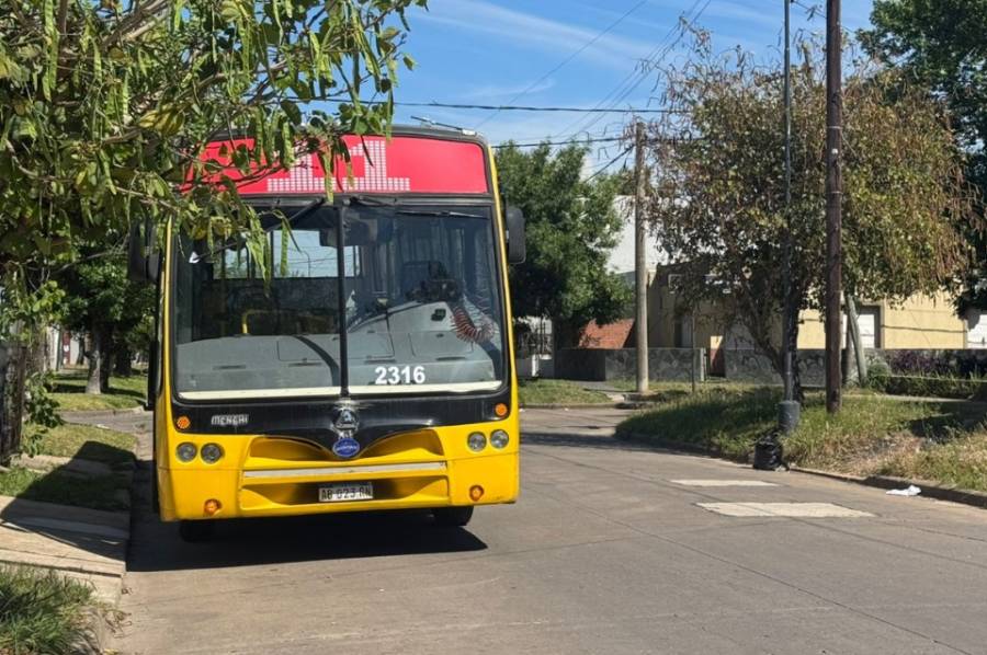 Hombre de 77 años se descompuso en colectivo tras picadura de alacrán