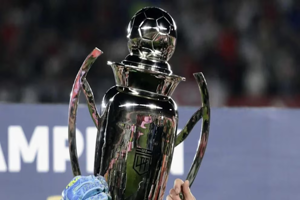 Torneo Clausura: las posiciones, el ingreso a las Copas y el descenso