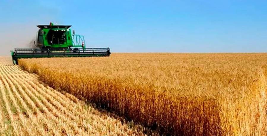 El sector agroexportador liquidó U$S 1.117 millones en octubre