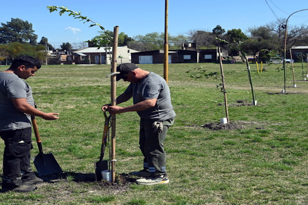 El Vivero Municipal produjo más de 15.000 plantines arbóreos 