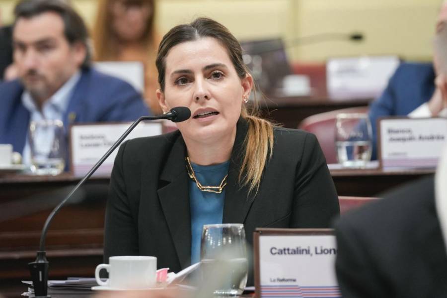 Cattalini pidió celeridad al Consejo de la Magistratura por el caso del juez Salmain