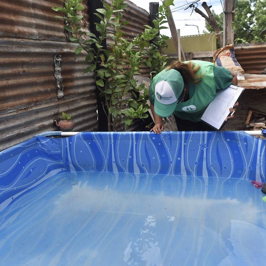 Dengue: se confirmó la presencia del vector en 23 barrios de la ciudad
