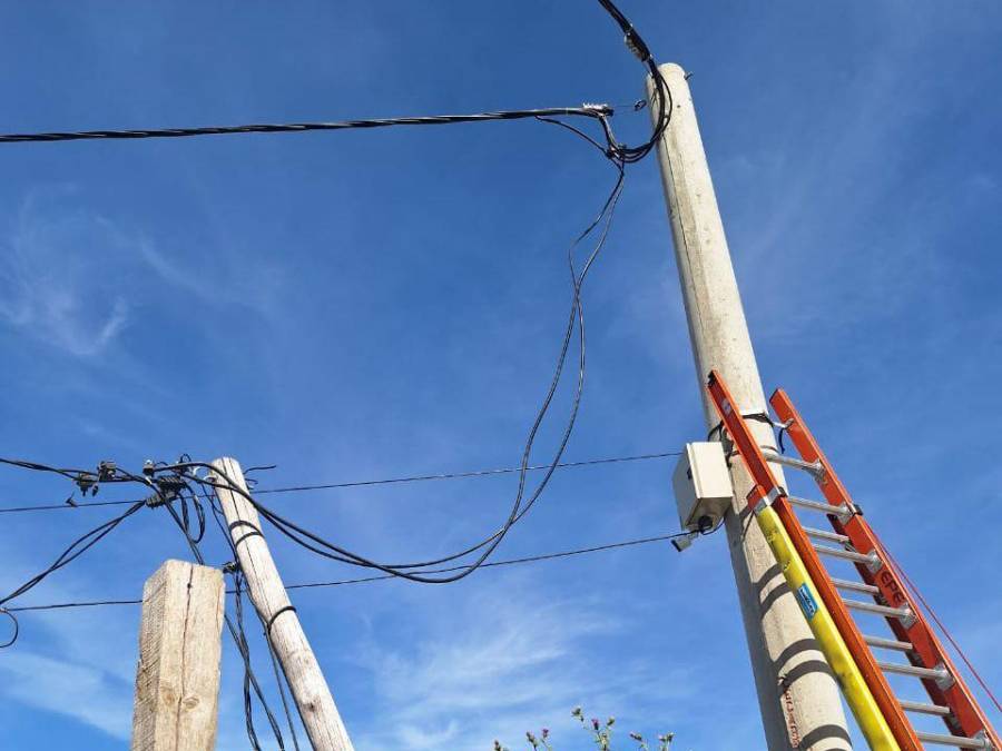 Detectan nuevo loteo enganchado de la red de EPE; ya son más de 81 mil inspecciones en el año