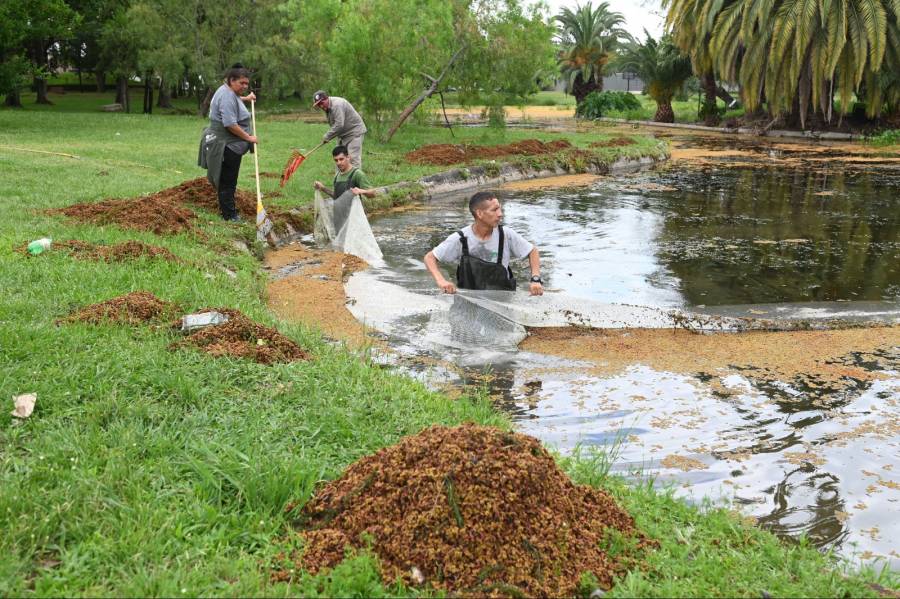 La Municipalidad realiza la limpieza de los lagos del parque Garay
