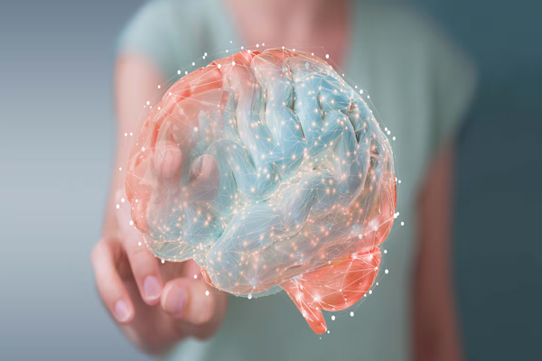 Tu cerebro cambia cinco veces a lo largo de la vida: cada etapa 