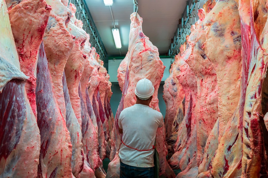 Frigoríficos estiman que los precios tocaron su límite y evalúan una baja en enero