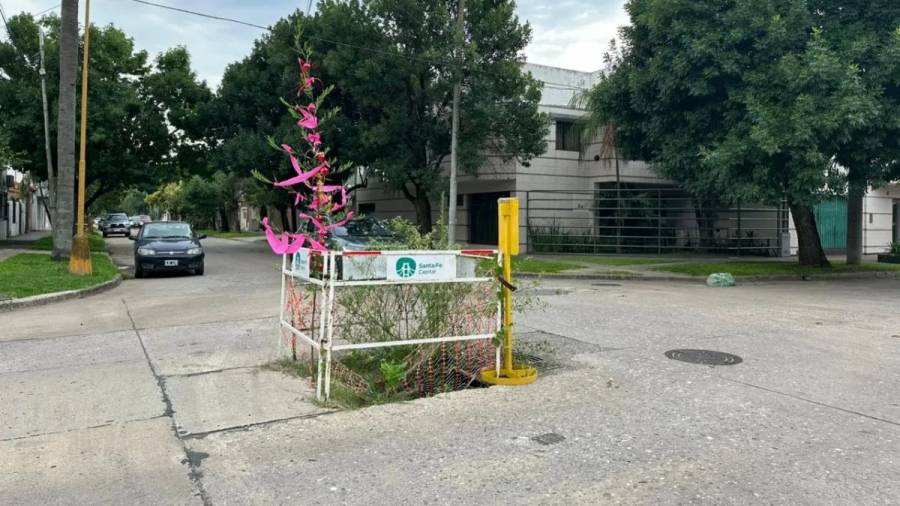 Empezaron los arreglos del socavón en barrio Guadalupe donde creció un árbol