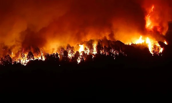Los incendios forestales ya afectaron más de 2.000 hectáreas en Uruguay