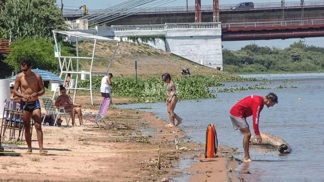 Volvieron los ataques de palometas en la Costanera Este