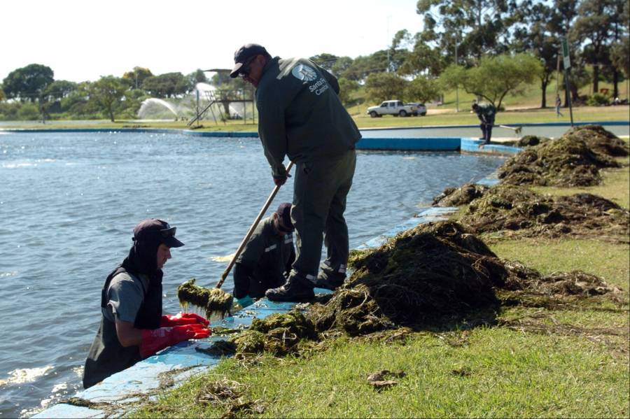 La Municipalidad intensifica las tareas de mantenimiento y limpieza en el Parque del Sur