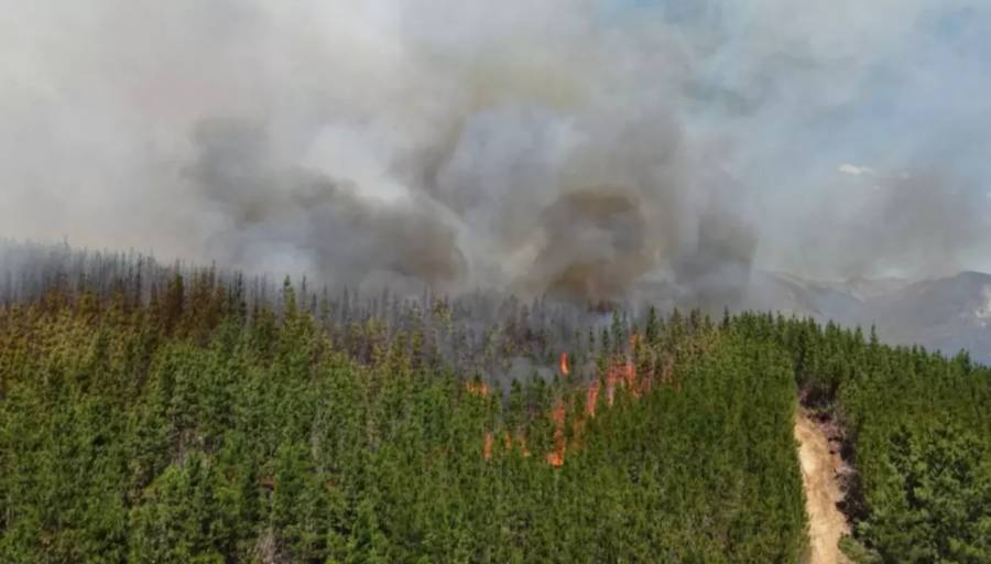 Incendio forestal en zona turística de Chubut arrasó con viviendas y vehículos