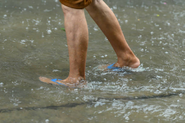 Leptospirosis: Provincia recuerda las medidas de prevención