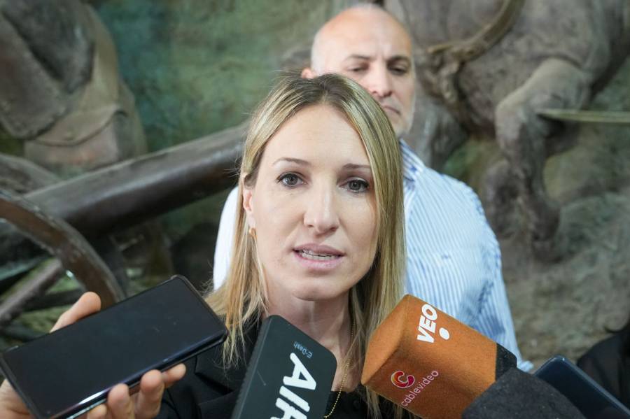 Allanamientos con detenciones de personas por robos, drogas y abuso de armas