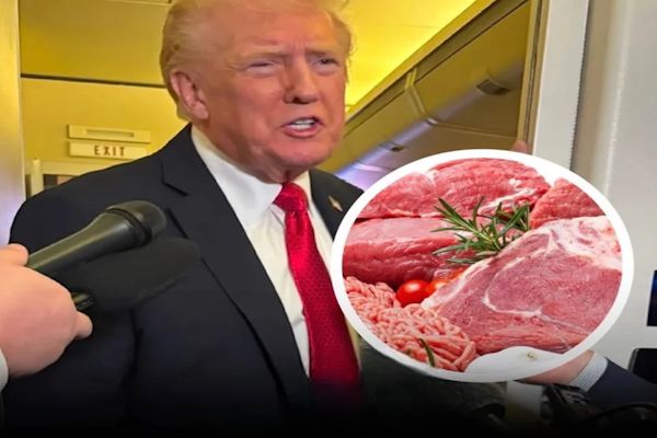 Mercado estadounidense: es oficial el salto exportador de la Argentina
