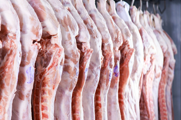Cerdo: frigoríficos santafesinos afirmaron que 