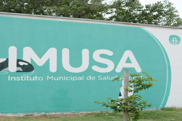 El Imusa realizó más de 6600 atenciones veterinarias 