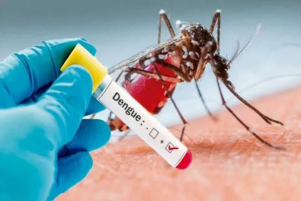 Dengue: se confirmó la presencia del vector en 37 barrios 