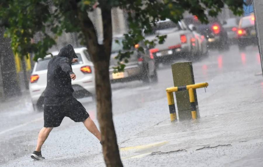 Lluvias y tormentas en Santa Fe: fuertes ráfagas, caída de ramas y cortes de luz en algunos barrios