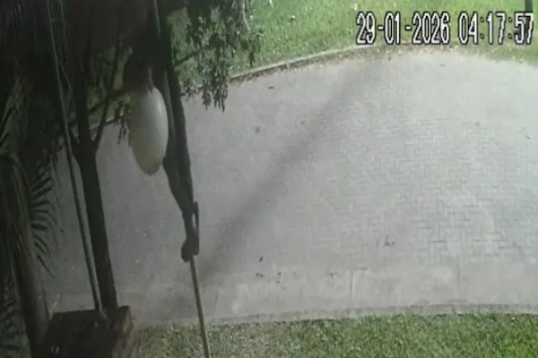 Robos y vandalismo: vecinos se organizan para exigir seguridad
