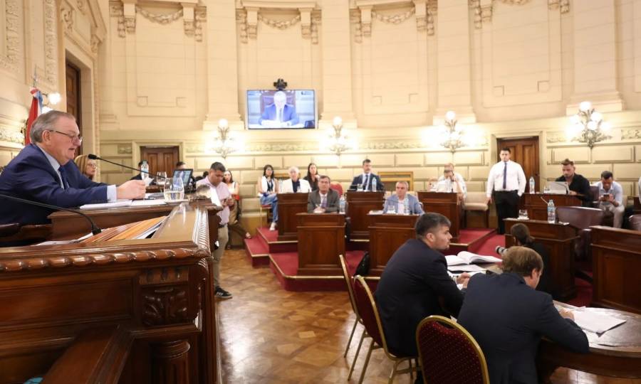Michlig destacó la sanción de importantes leyes en el senado 