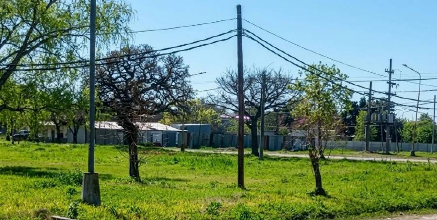El Gobierno nacional subasta terrenos en la ciudad: ubicación y precios