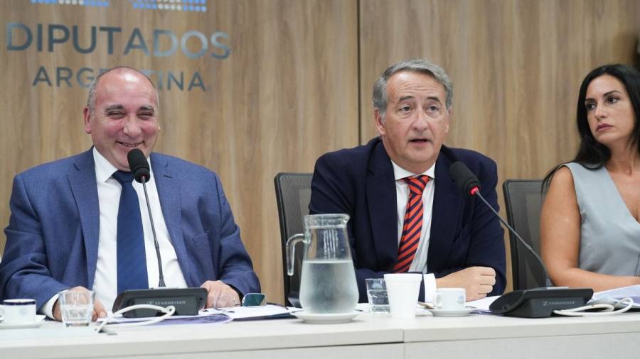 Diputados inicia las audiencias por la Ley de Glaciares con solo 400 expositores sobre más de 100 mil inscriptos
