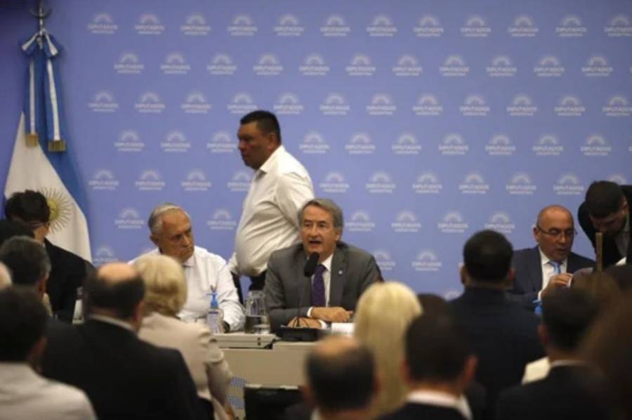 La audiencia por la Ley de Glaciares continúa su recorrido en Diputados