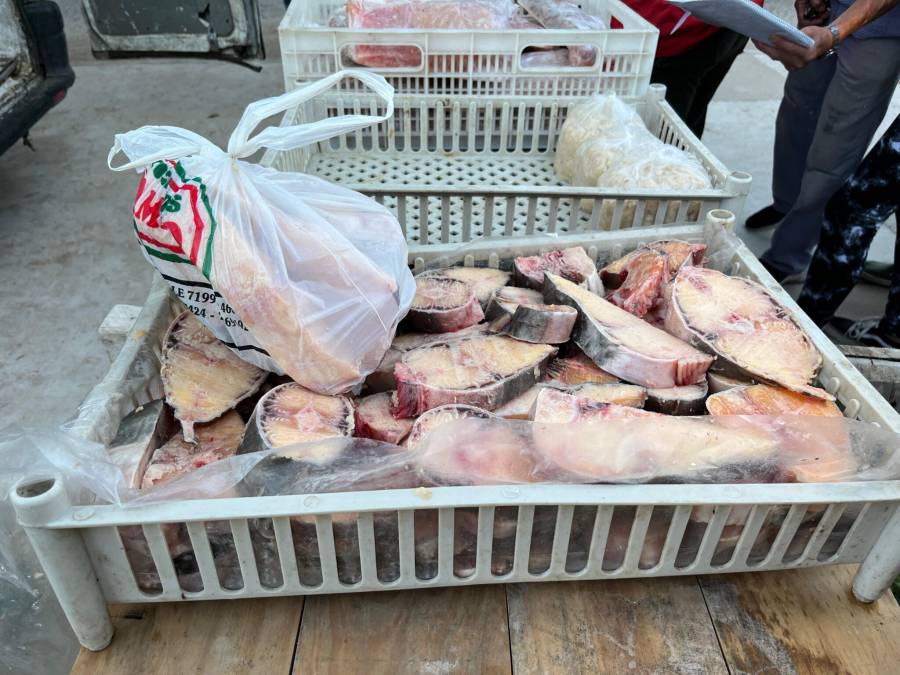 Feria de pescado a precios populares en el sur de la ciudad de Santa Fe