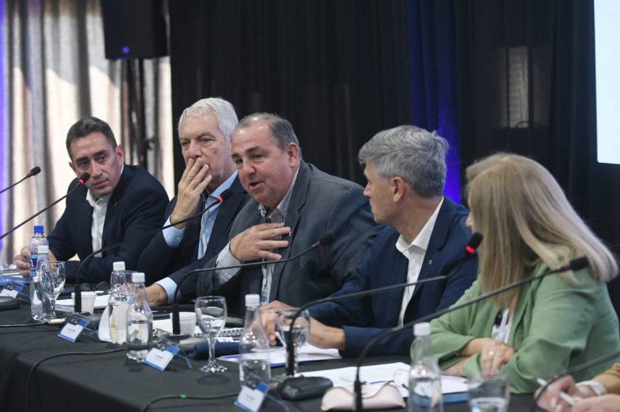 Poletti participó del Consejo Federal de Intendentes 