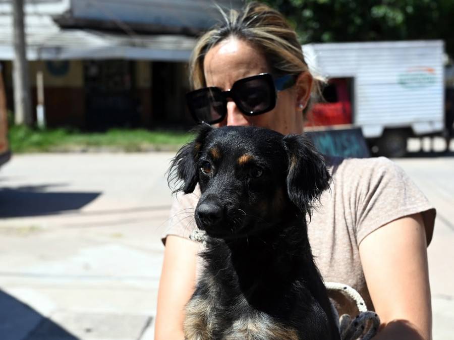 El Imusa realizará castraciones masivas gratuitas en Barrio La Tablada
