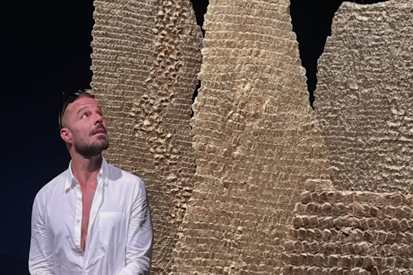 Así fue la visita de Ricky Martin al MALBA