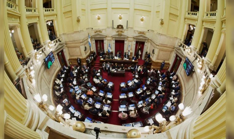 Senado debate la reforma de Salud Mental: autorizan internaciones no voluntarias y suman adicciones como enfermedad