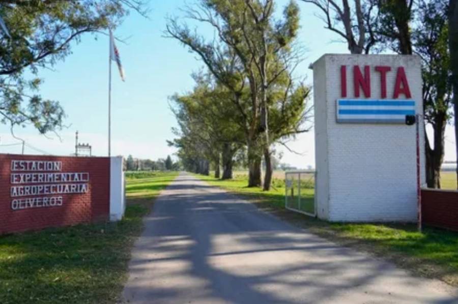 Crisis en el INTA: denuncian vaciamiento y temen despidos masivos
