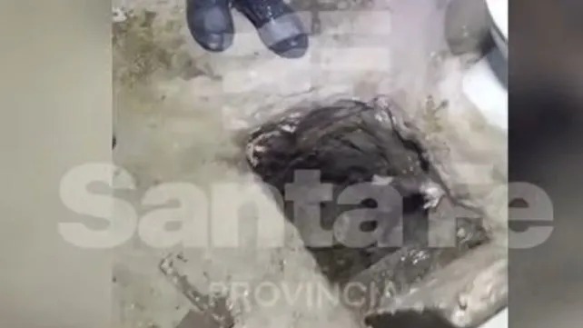 En Piñero hallaron un túnel en un baño del pabellón de alto perfil: “Las requisas son una política permanente de seguridad”, afirmó Coudannes