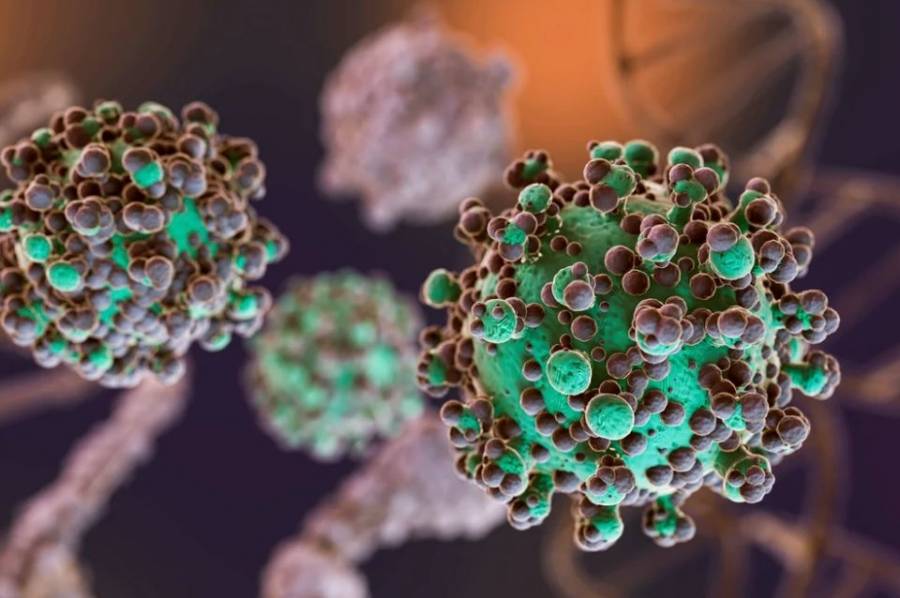 Hantavirus: el total de casos en Argentina asciende a 102