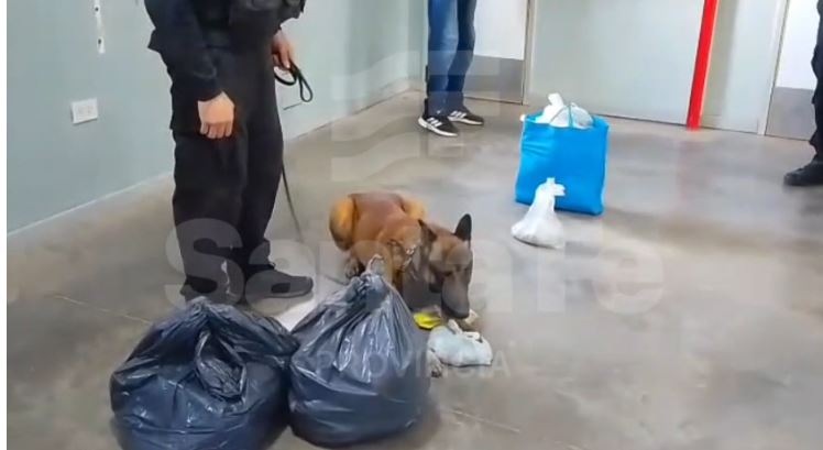 Controles en cárceles: detectaron marihuana y cocaína ocultas entre pertenencias de visitantes al penal de Las Flores