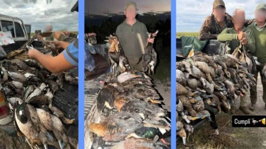 Caza de animales en el norte: los detalles de la denuncia del Gobierno 