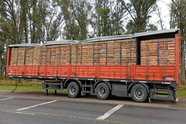 Secuestraron a un camionero y le robaron su unidad en la ruta 